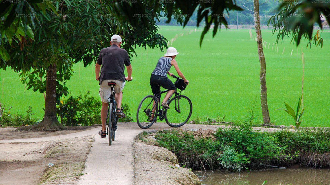 Велосипедный тур на поле битвы на Балане из Канди