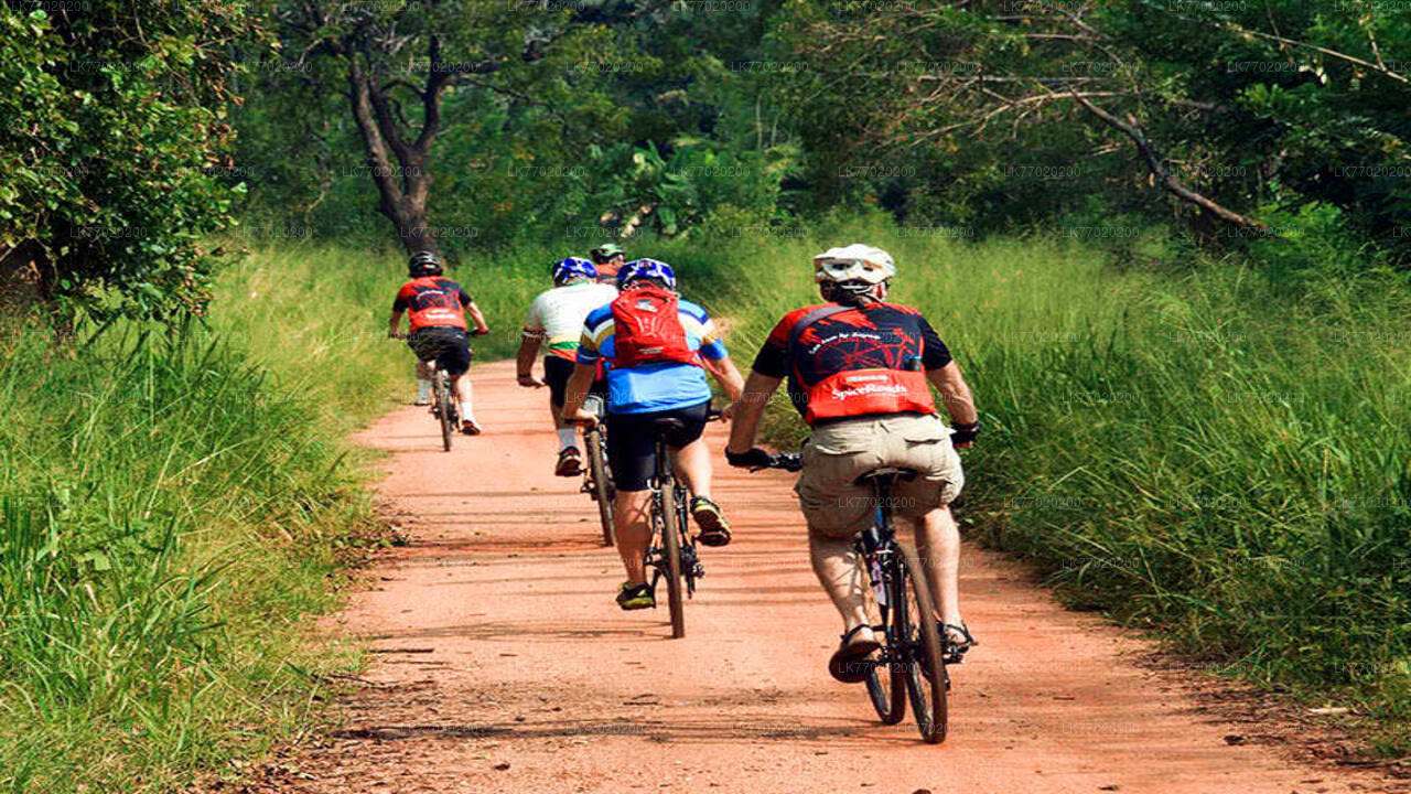 Велосипедный тур на поле битвы на Балане из Канди