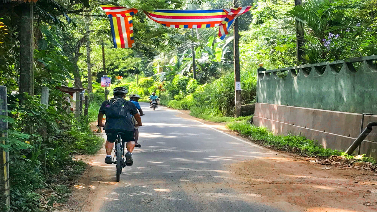 Велосипедный тур 3 Temple Loop из Канди