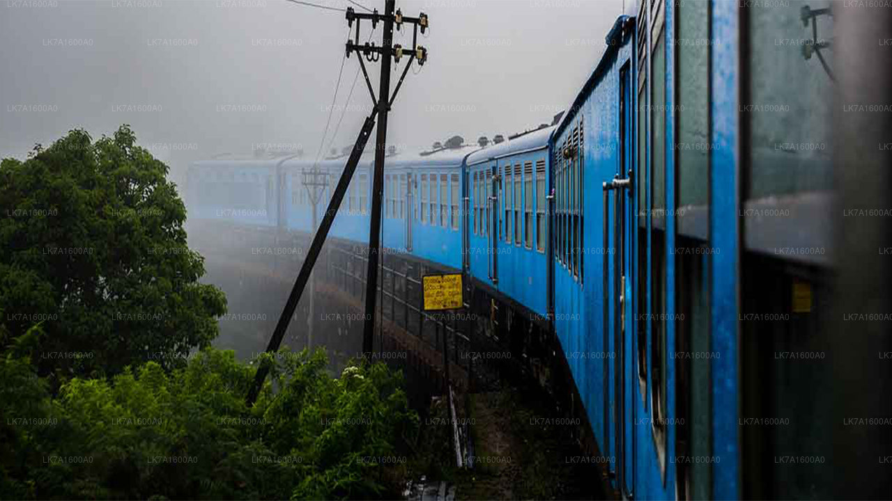 Поездка на поезде из Коломбо в Бадуллу (поезд № 1005 «Podi Menike»)