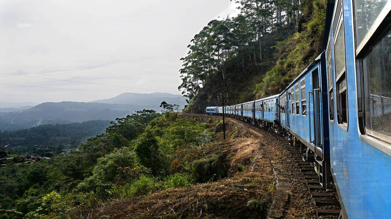 Поездка на поезде из Канди в Бадуллу (поезд № 1005 «Поди Менике»)