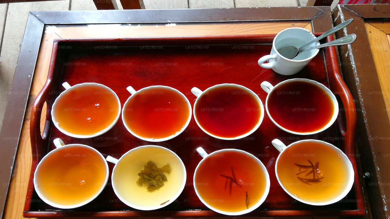 Дегустация цейлонского чая из Нувара Элии